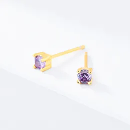 925 Silver Stud Earrings for Women Colorful Crystals Mini Earrings New Simple Cold Style Four-Claw Zircon Small Ear Studs