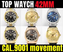 Mężczyźni 42 mm Sky Watch 9001 Automatycznie obsługuje miesięczny kalendarz 24H Wyświetlacz 904L Niebo podwójna strefa czasowa Sapphire Watch Waterproof Nurving215s