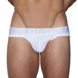 Men's Brand Underwear Pure Cotton Vintage Sexy Sports U Convex Low