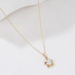 Catene Shine Star Crystal Necklace Weater Chain Fashion Jewelry Drop Birthday Girls Girls Lover Regali