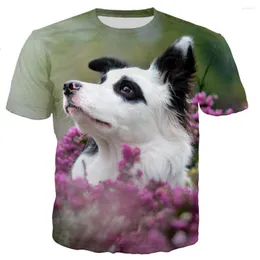 Męskie koszule Summer 3D Leisure Printing Border Collie 2023 Masowe mężczyźni/kobiety indywidualność koszuli Tops