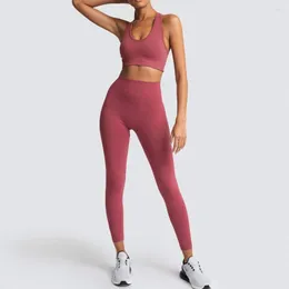 Yoga kıyafeti fitness spor sutyen koşu kurutulmuş chleisure yüksek kaliteli tozluk tayt kadınlar dikişsiz pantolon egzersiz spor salonu artı beden seti