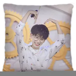 Pillow Fei Qiming Pillowcase Pretty Scholar Yu Lexuan Same Paragraph Star Po Poster Cover Souvenir Throw Decor