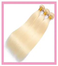 Indian Blonde Color Virgin Human Hair Extensions 1030inch Double Wefts Silky Straight 6134888057