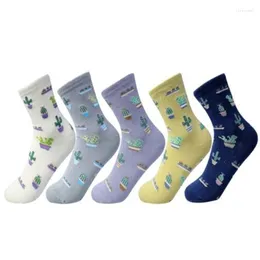 Women Socks 2023 Cotton Plain Jacquard Cactus Fresh And Simple Wild Ladies Trend Harajuku Comfortable Four Seasons Dropship