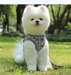 Moda listra reflexiva cão chicote de trenôs define spaw walk the cães usa colarinhos de roupas acessórios para animais de estimação