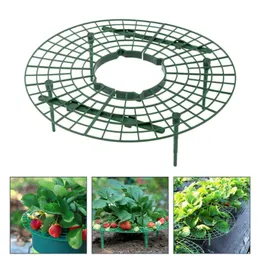 Trädgård levererar andra 5st Plant Trellis Bundles Trädgårdsverktyg stöder rack