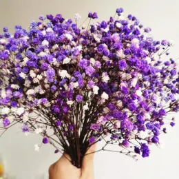 Dekorativa blommor kransar 50g/20-30 cm naturligt färskt bevarad babysbreath blomma verklig för alltid baby andningsgren för diy evig m