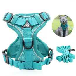 Collari per gatti Guinzagli Imbracatura Gilet regolabile riflettente Simpatico guinzaglio da passeggio Set Imbracature Collana per cani di piccola taglia Accessori 230227