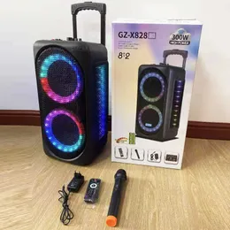 مكبرات صوت محمولة 300W 8 بوصة دفع يدوي في الهواء الطلق Boofer Boom Portable FM Wireless Karaoke Party Bluetooth مكبر صوت LED مع Micro R23027