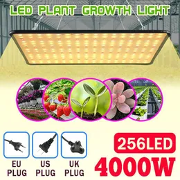 Grow Lights 4000W Light Led Full Spectrum Lamp Plant Bulb Greenhouses Seedlings Indoor Phyto Tent US Plug