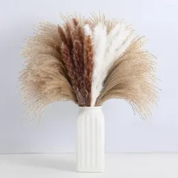 Dekorativa blommor naturliga fluffiga torkade grenar 60st vita pompous torr för vas blommor arrangemang boho bröllop heminredning bukett