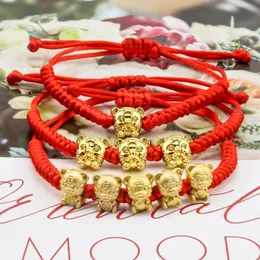 Link Bracelets Mascote Cadeia Cinco Fortunas Golden Tiger Red String Bracelet 2023 Ano chinês trazer riqueza Lucky Good Blessing