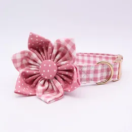 Kragen Pink Polka Dot Girly Hundekragen Bogenhundblume für Haustierhundkatze mit Roségold -Metallschnalle