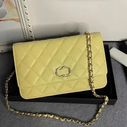 2022Classic bolso de lujo para mujer bolso de diseñador bolso grande bolso de mano casual Compras Cremallera monedero cadena Crossbody bolso de mujer bolso de cámara de moda