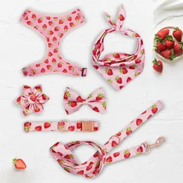 Halsar Personlig jordgubbe girly hundkrage blomma med matchande koppel och sele