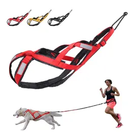 Obedience 2022 New Dog Running Leash Veststyle Sled Dog Leash Chest Straps For Medium Large Dog Pet Trailer Tools Pet Running Supplies