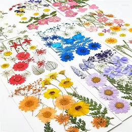 Decorative Flowers Mixed Pressed Dried Flower For Face Sticker Tips Nail Card Phone Case Jewelry Candle DIY Art Craft Scrapbook Handmade