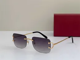 Luxusmarke Designer Sonnenbrille Männer Piccadilly Zonnebril Mann Frauen Vintage Retro Rahmenlose Quadratische Kleine Randlose Sonnenbrille 104