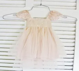 Rue Del Sol Blush Flower Girl Dress French Lace and Silk Tulle Dress for Baby Bird Brush Princess Dress Blush Tutu5443846