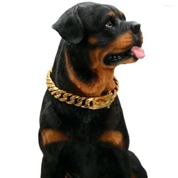 Dog Collars 15MM Wide 18K Gold Plated Training P Chain Adjustment Pet Stainless Steel Metal Necklace For Medium Large Dogs