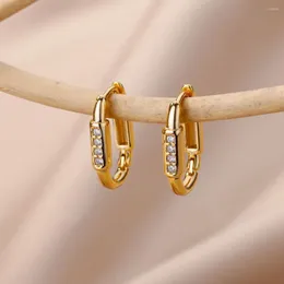 Hoop Earrings Luxury Glod Color Circular Zircon Earings For Women Pendientes Plata 925 Certificada In Fashion Gift And Wed