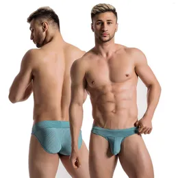 Cuecas Icool Confortável Sexy de cintura baixa Cuecas masculinas para pênis grande Honey Hard Slip Men Hombre Gay Nylon