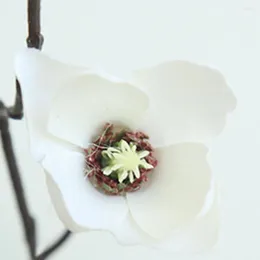 装飾的な花マグノリアの花の絶妙な偽の細かいテクスチャシミュレーション保存