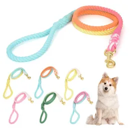 Leashes Rainbow Dog Leash med handtag Walking Training Candy Color Cotton Lead Rope för Edium stora hundar Leash Chihuahua Correa de Perro