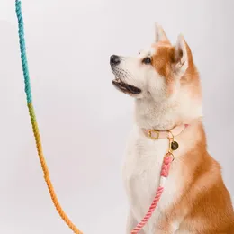 Guinzaglio di guinzagli multifunzione cognome in tessuto a mano collana crollata corda da esterno cani rotonde di cotone cani piombo prodotti per animali domestici