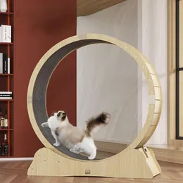 Скретчики Pet Dog Decmill Breatmill Fiess Roller Silent Sports Running Wheel Furniture Высокая волокна для кошачья рама