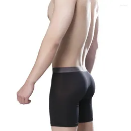 Caleçon ICOOL Transparent Glace Soie Hommes Nude Boxer Shorts U