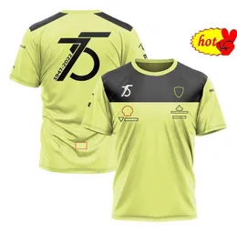 Drużyna F1 Yellow Special Edition krótkie rękawy Tshirt Men039s Racing Suit for Fan8991170 PGNB