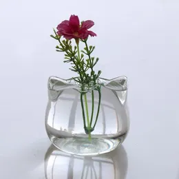 Vaser kattformad glasvas hydroponic växt blomma terrarium container potten dekor konst gåva 230603