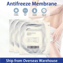 Annan skönhetsutrustning antifrozen membranplatta för formning av kliniker Chockvåg och kryolipolysutrustning för fettcellulitereduktion