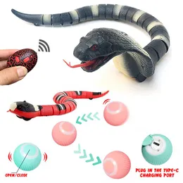 Toys Smart Cat Toys Electric Teasing Sensing Snake for Cats Interactive Toy Gravity Automatic Rolling Ball Pet Snake Training Supplies