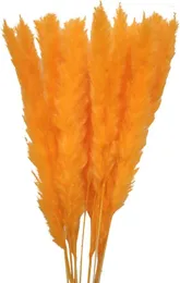 Decorative Flowers 15 Pieces Dried Pampas Grass Reed For Party Holiday Decoration Home Orange