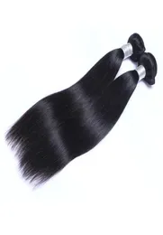 Brazilian Straight Human Hair Bundles Unprocessed Remy Hair Weaves Double Wefts 100gBundle 2bundlelot Can be Dyed Bleached Hair 6939683