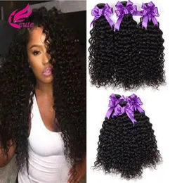 Chinese Mongolian Indian Hair Weave 3 Bundles Virgin Kinky Curly Human Hair Weave 100 Unprocessed Hair Weft Extensions Natural Bl8430343