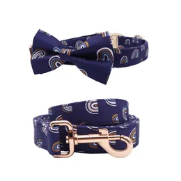 Collars Rainbow Dog Collar Wok con fibbia di metallo Big and Smallcat Collar Pet Accessori per animali domestici