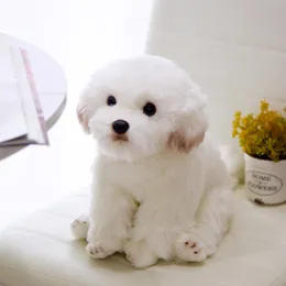 Emulational maltesiska dockor prydnad två storlekar valfri vit och söt hund plysch leksak
