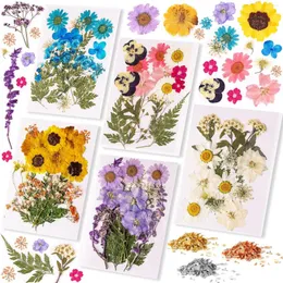 Decorative Flowers Real Dried Pressed Dry Plants For Candle UV Epoxy Resin Mold Fillings Nail Art Jewelry Craft DIY Making