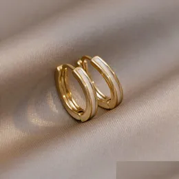 Dangle Chandelier 10Mm Circle Cz Zircon Hoop Earrings For Women Bohemian Gold Color Sier Small Round Fashion Girl Jewelry Drop Deli Dhjge