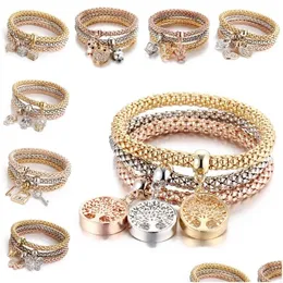 مجموعات مجوهرات أخرى 3pcs/مجموعة سوار بلوري مرنة Diamond Heart Crown Tree of Life Skl Butterfly Charm Bangle Cuff Will Dhpii