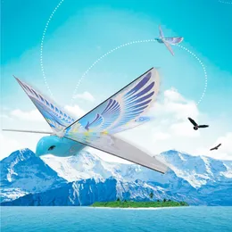 electricrc حيوانات 360 درجة 24 جيجا هرتز Flying RC Bird Toy Birds Simulation Flapping Wing for Kids LED Model 230605