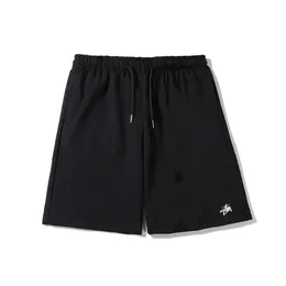 STUSSSY maschile classico Shorts am