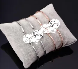 2020 new style Korean version of simple fashion swan bracelet women039s jewelry microinlaid zircon bracelet 8260041