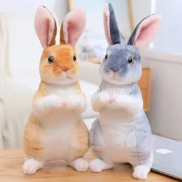 24cm Simülasyon Uzun Kulaklar Gerçekçi Tavşan Peluş Oyuncak Hayvan Dolgulu Oyuncak Çocuklar için Kızlar Doğum Günü Hediye Odası Dekor