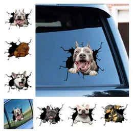 ملصق سيارة الكراك Crack Care Creative Home Car Windows Decoration Decoration Dachshund Bulldog Crack Toildet Sticker Sticker Sticker Fridge