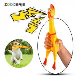 Sıcak satmak çığlık atan tavuk evcil hayvan oyuncakları gıcırtılı ses ses komik oyuncak güvenlik kauçuk köpekler için molar çiğneme oyuncaklar evcil hayvan aksesuarları